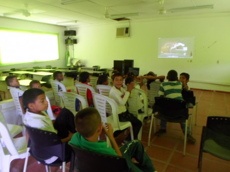 En el salón de videos
